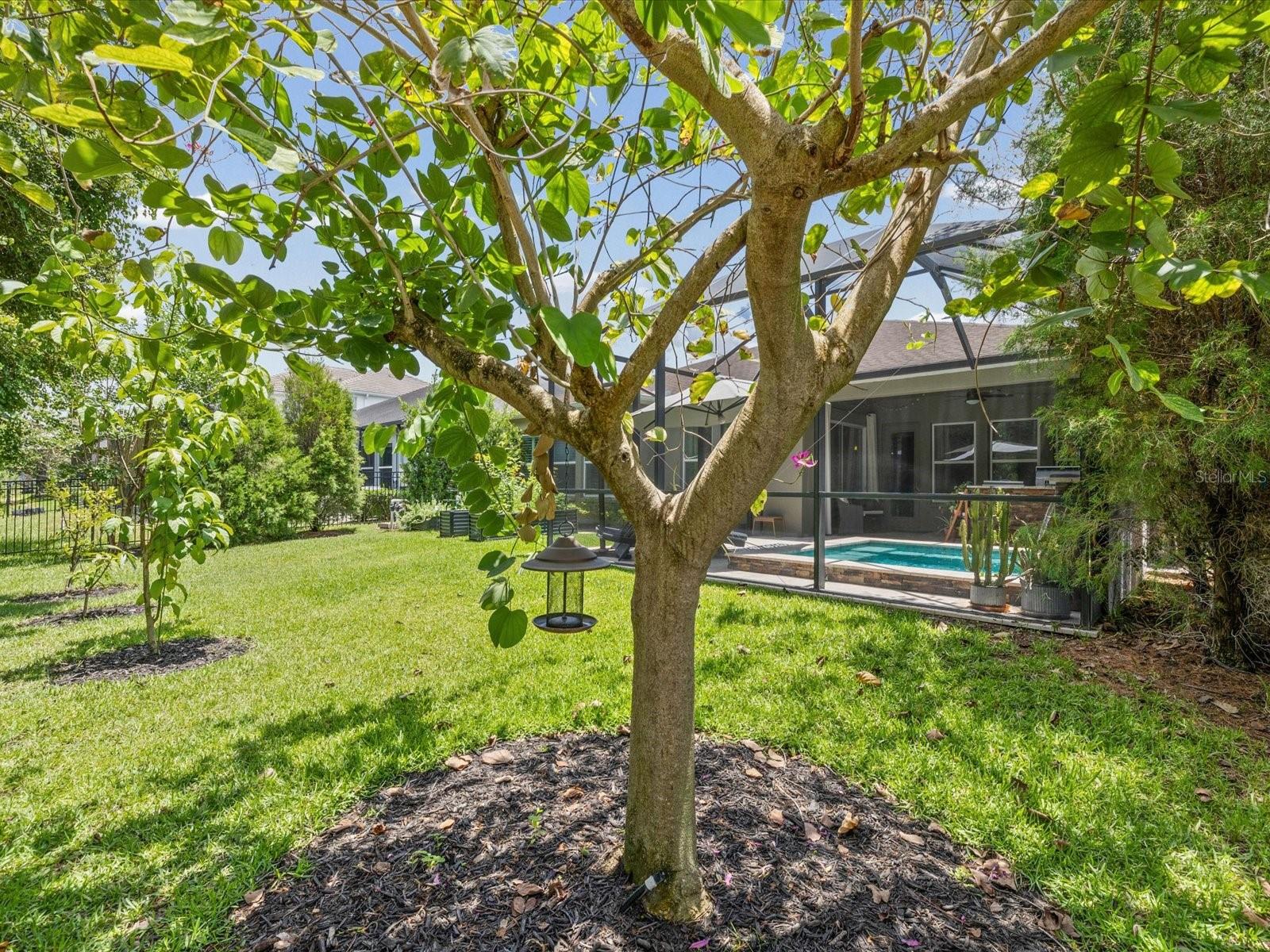3719 WICKET FIELD RD, LUTZ, FL, 33548