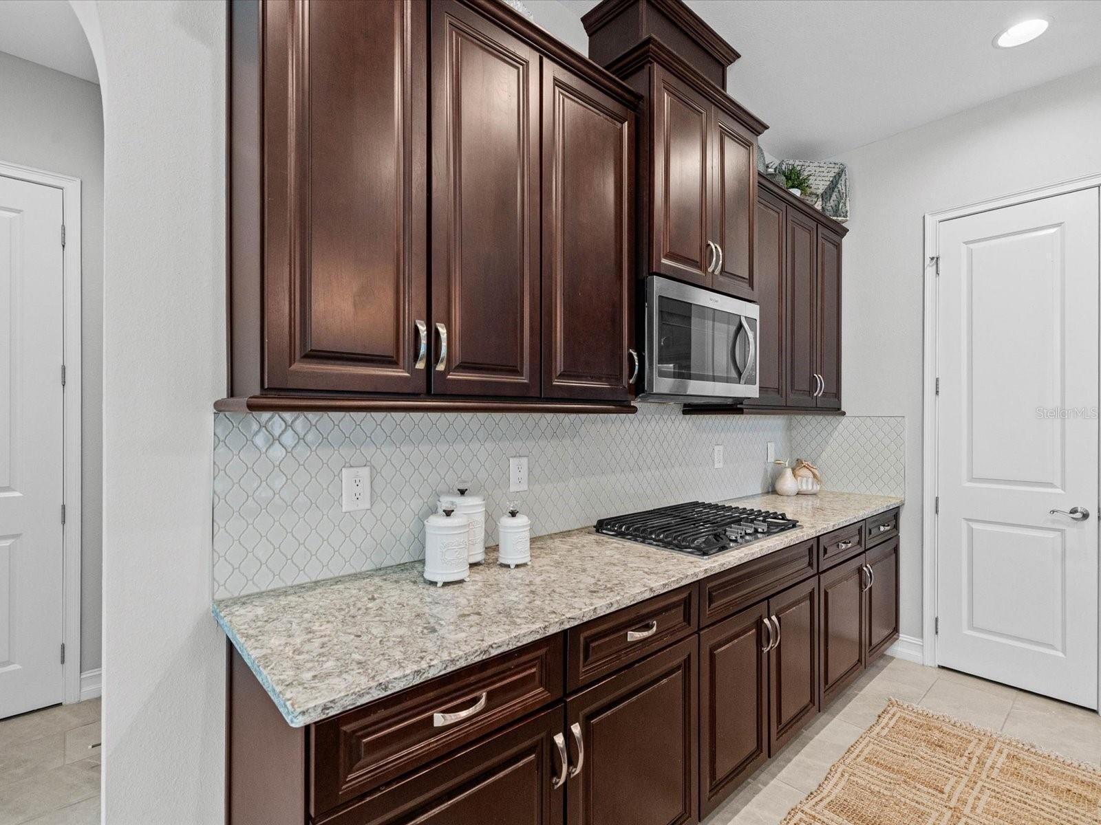3719 WICKET FIELD RD, LUTZ, FL, 33548