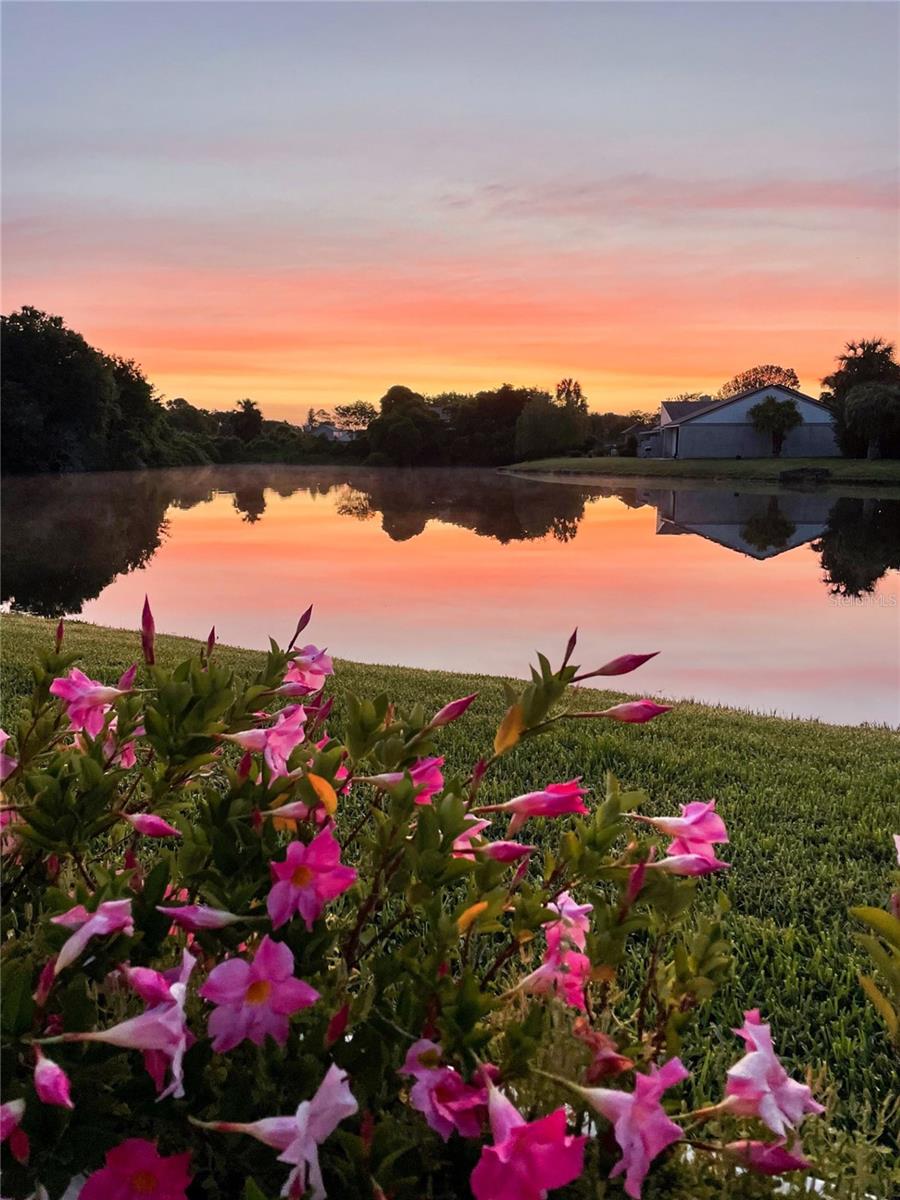 2444 LORRAINE CT N, PONTE VEDRA BEACH, FL, 32082