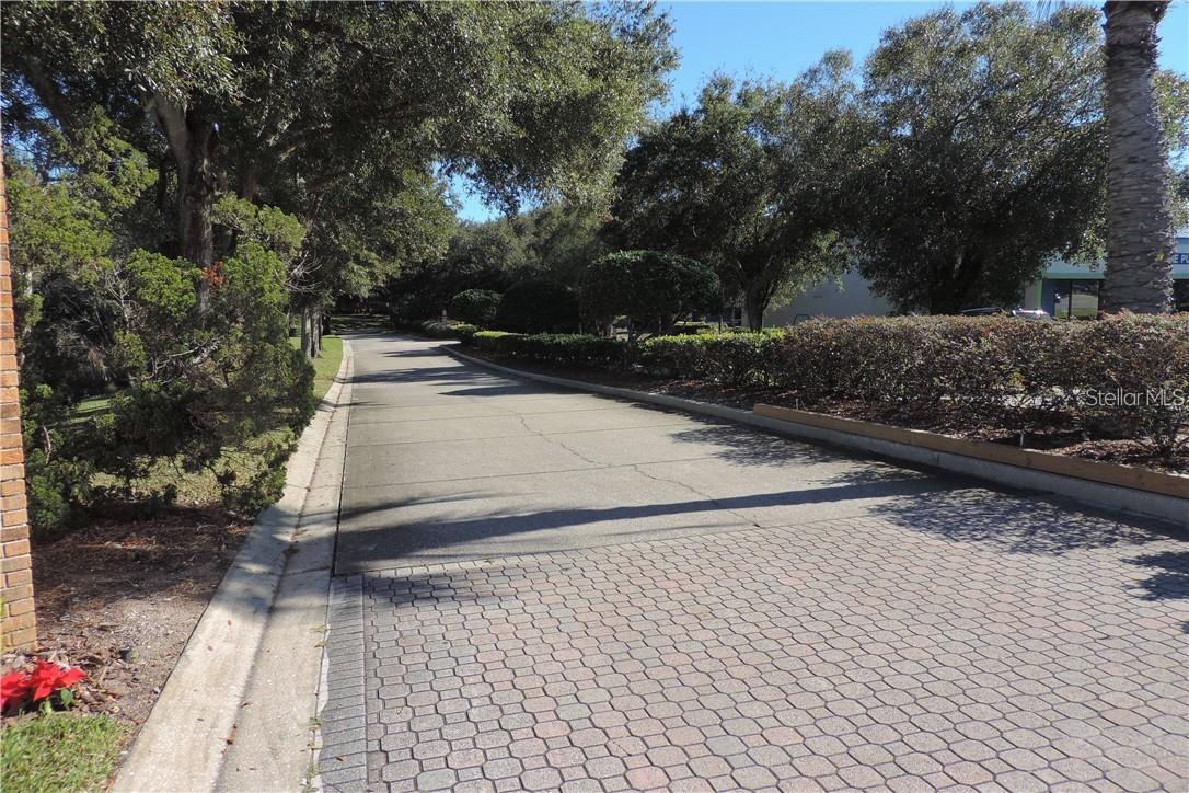 2620 6TH CT, PALM HARBOR, FL, 34684