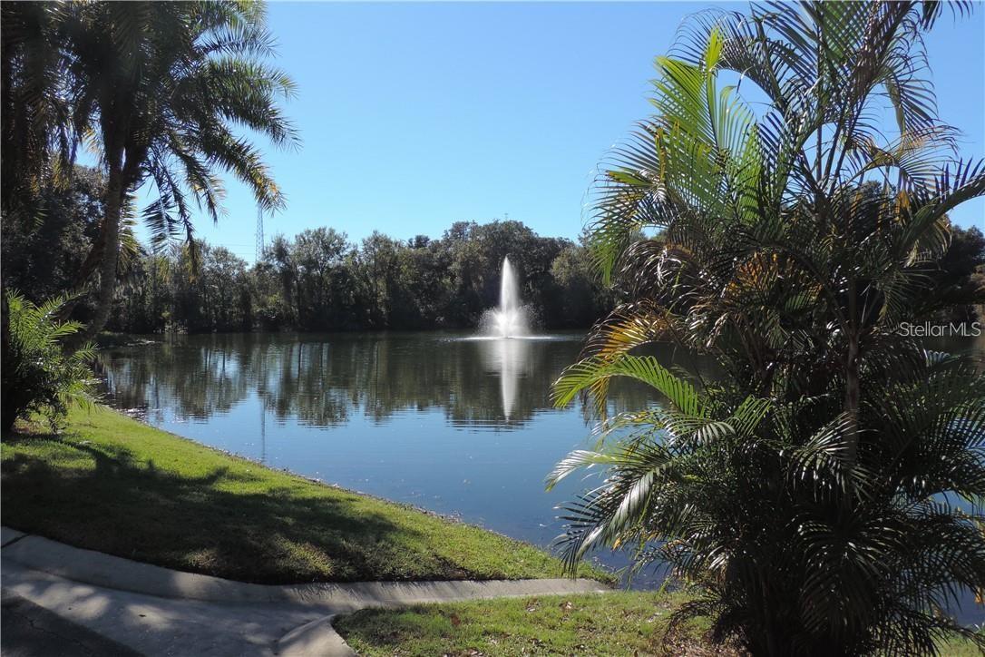 2620 6TH CT, PALM HARBOR, FL, 34684