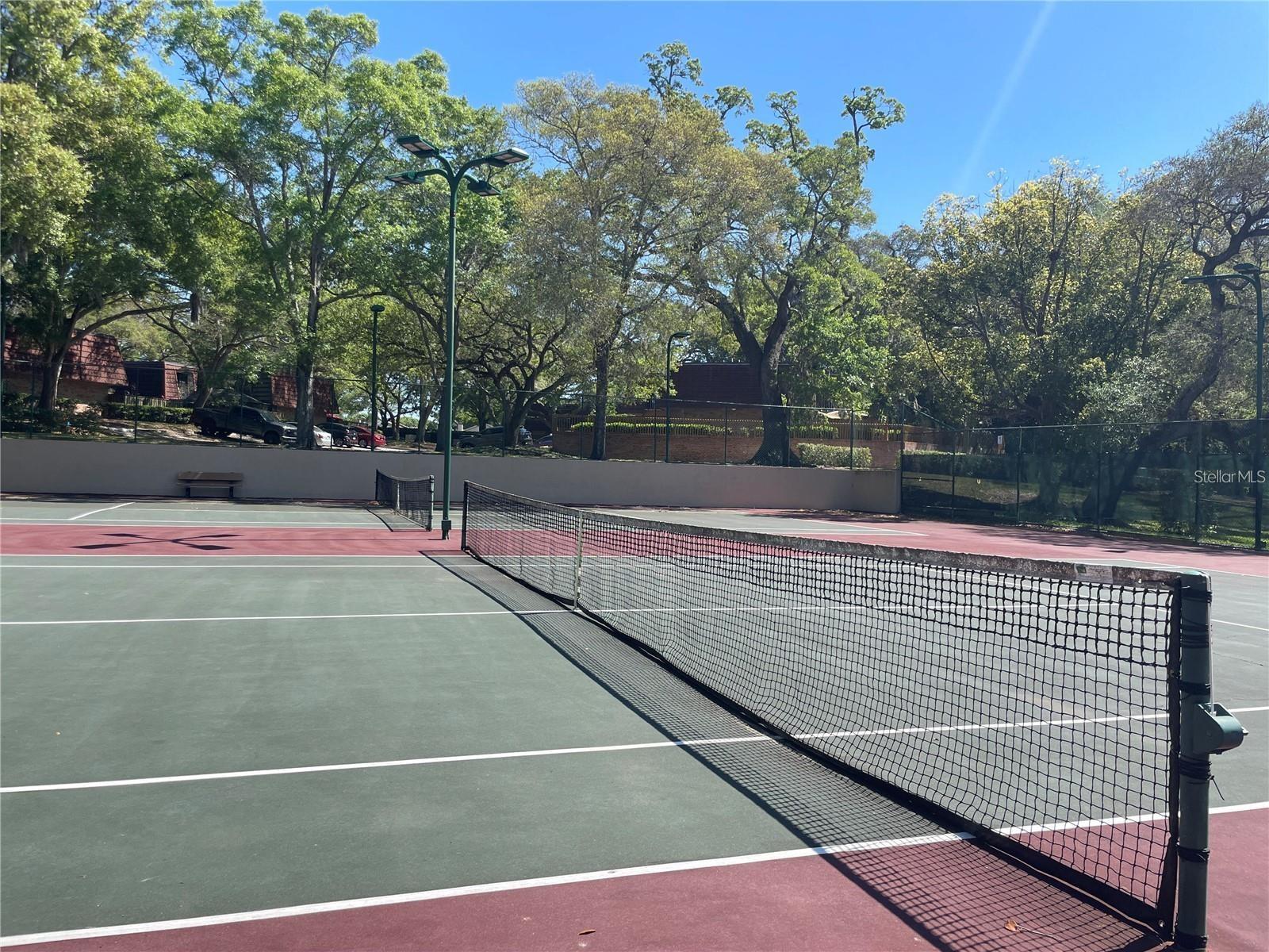 2620 6TH CT, PALM HARBOR, FL, 34684