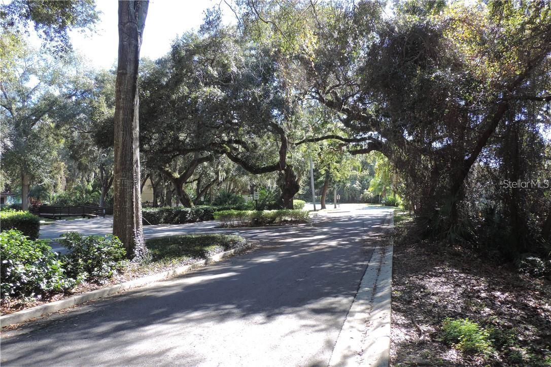 2620 6TH CT, PALM HARBOR, FL, 34684