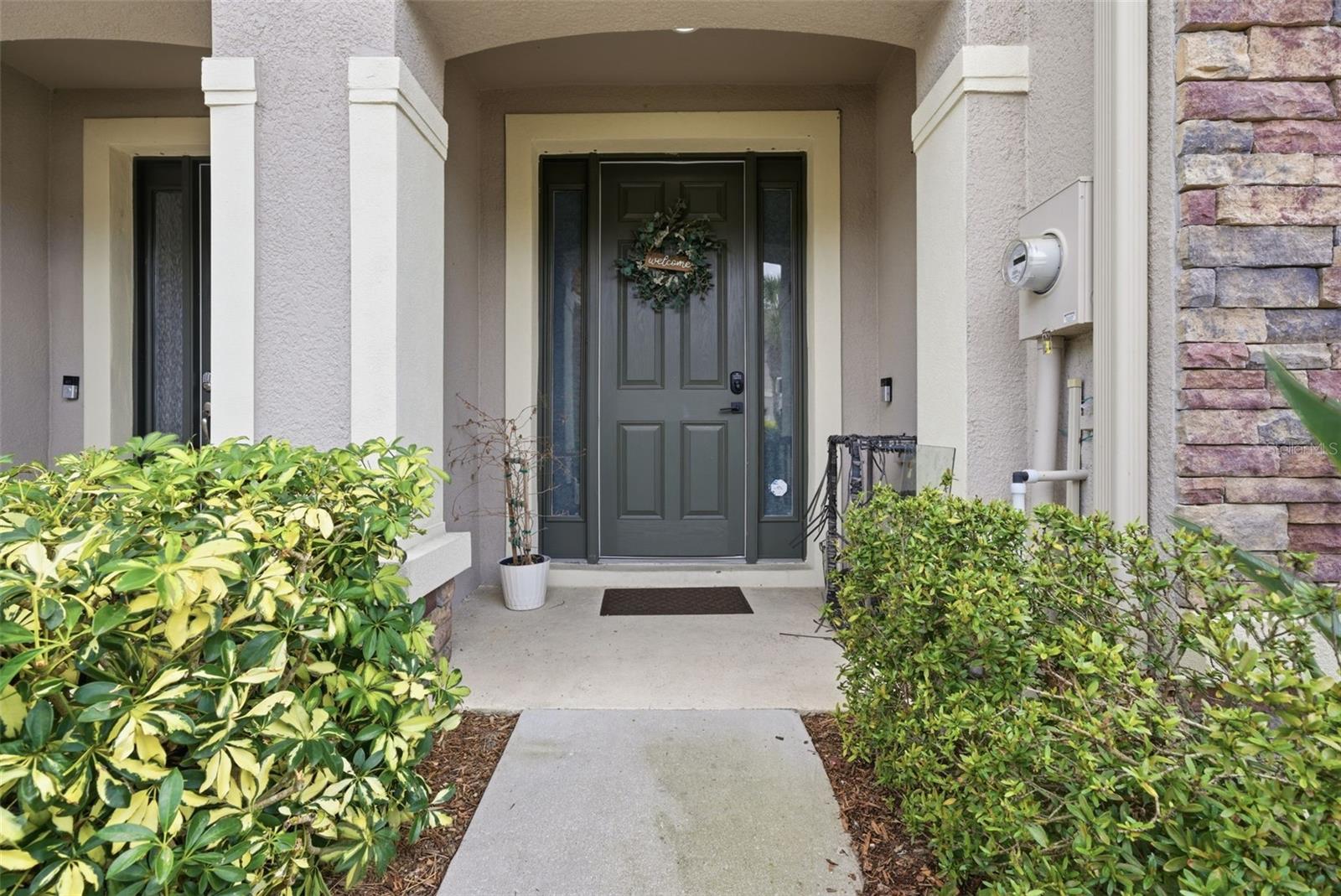 10425 RED CARPET CT, RIVERVIEW, FL, 33578