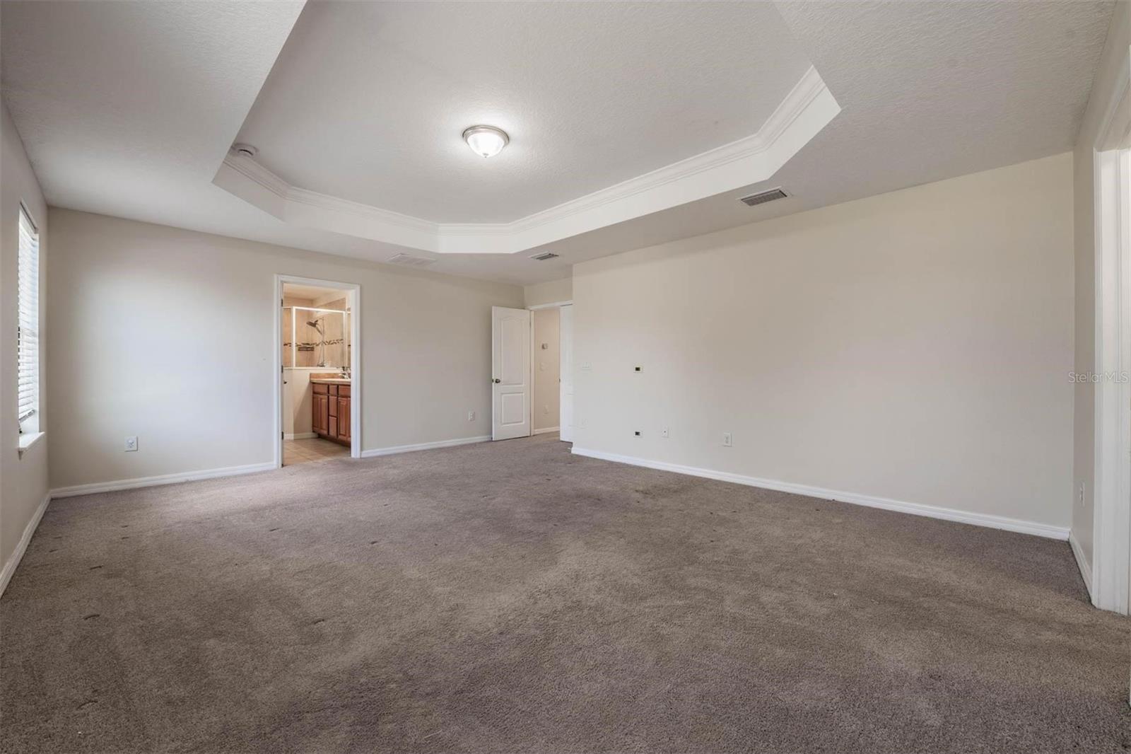 14336 HADDON MIST DR, WIMAUMA, FL, 33598