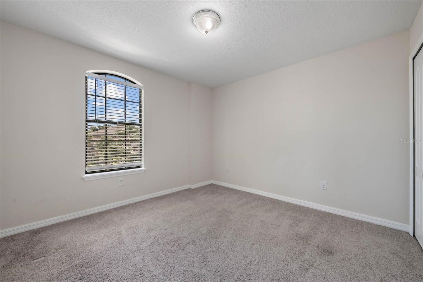 14336 HADDON MIST DR, WIMAUMA, FL, 33598