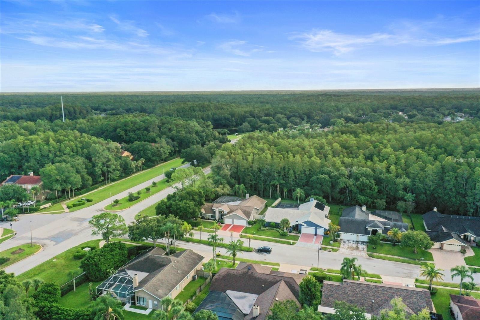 3297 VALEMOOR DR, PALM HARBOR, FL, 34685