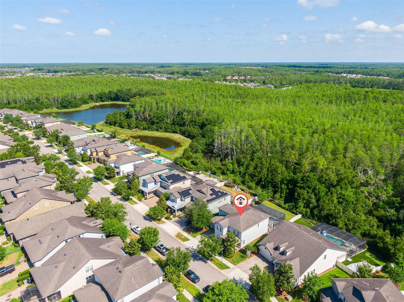 12991 PAYTON ST, ODESSA, FL, 33556