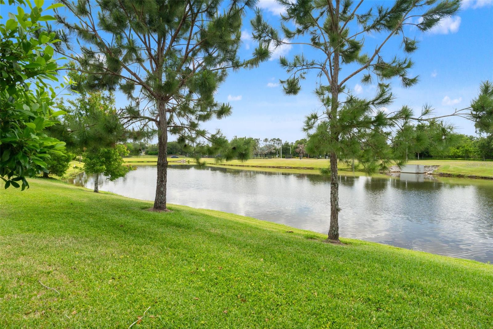 7278 POOL COMPASS LOOP, WESLEY CHAPEL, FL, 33545