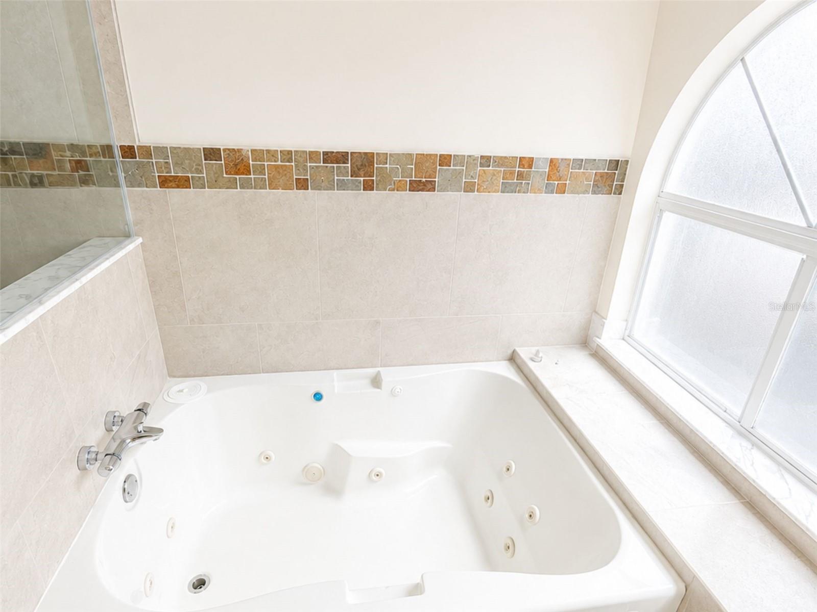 11848 BRANCH MOORING DR, TAMPA, FL, 33635