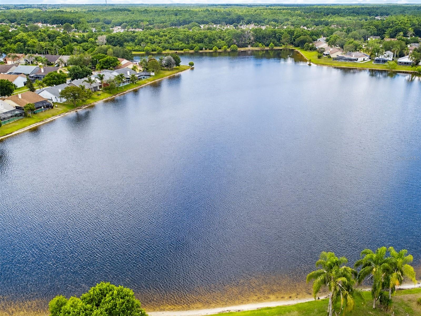 11848 BRANCH MOORING DR, TAMPA, FL, 33635