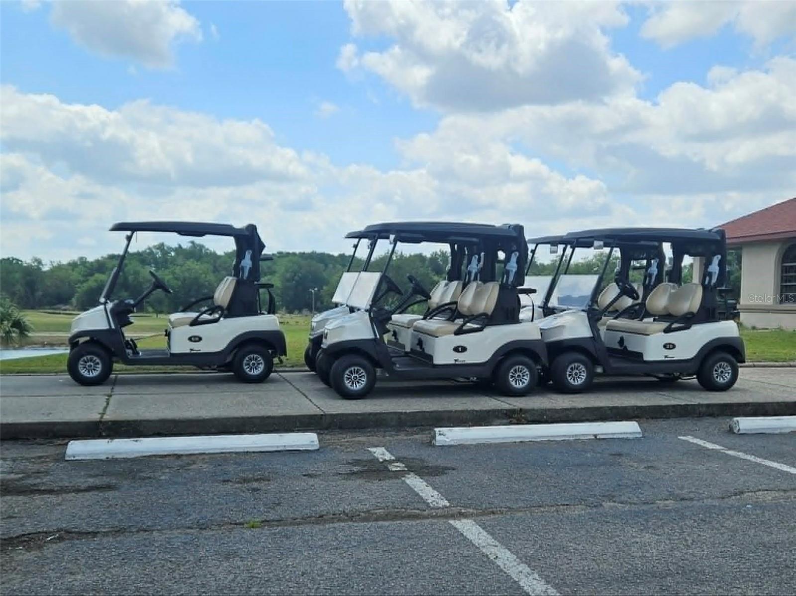 30939 WATER LILY DR, BROOKSVILLE, FL, 34602