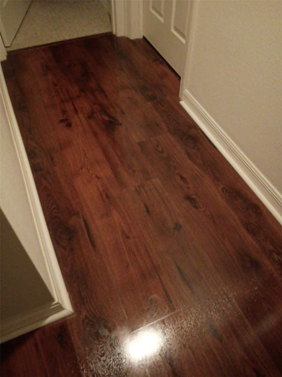 30939 WATER LILY DR, BROOKSVILLE, FL, 34602