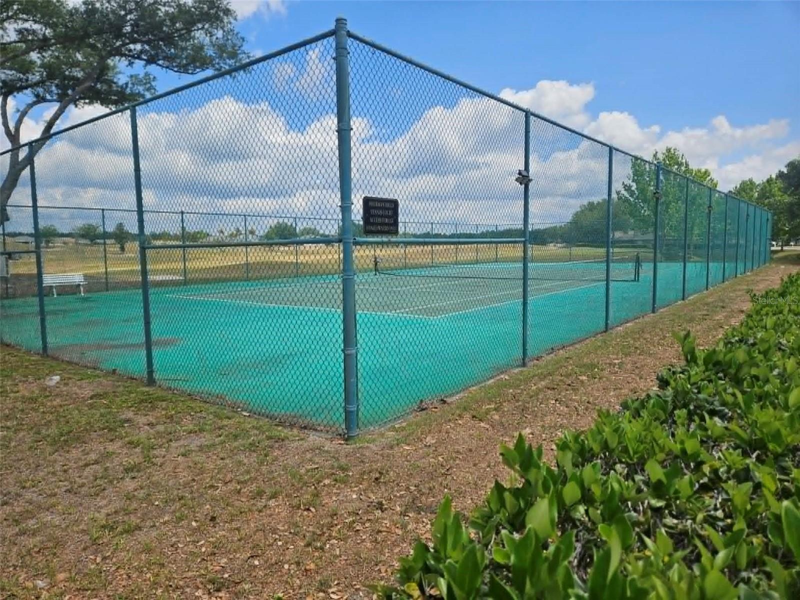 30939 WATER LILY DR, BROOKSVILLE, FL, 34602