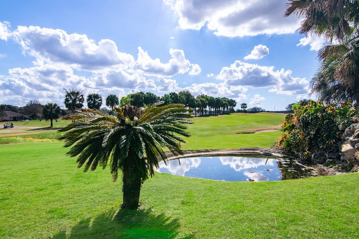 2337 NW 51ST TER, OCALA, FL, 34482