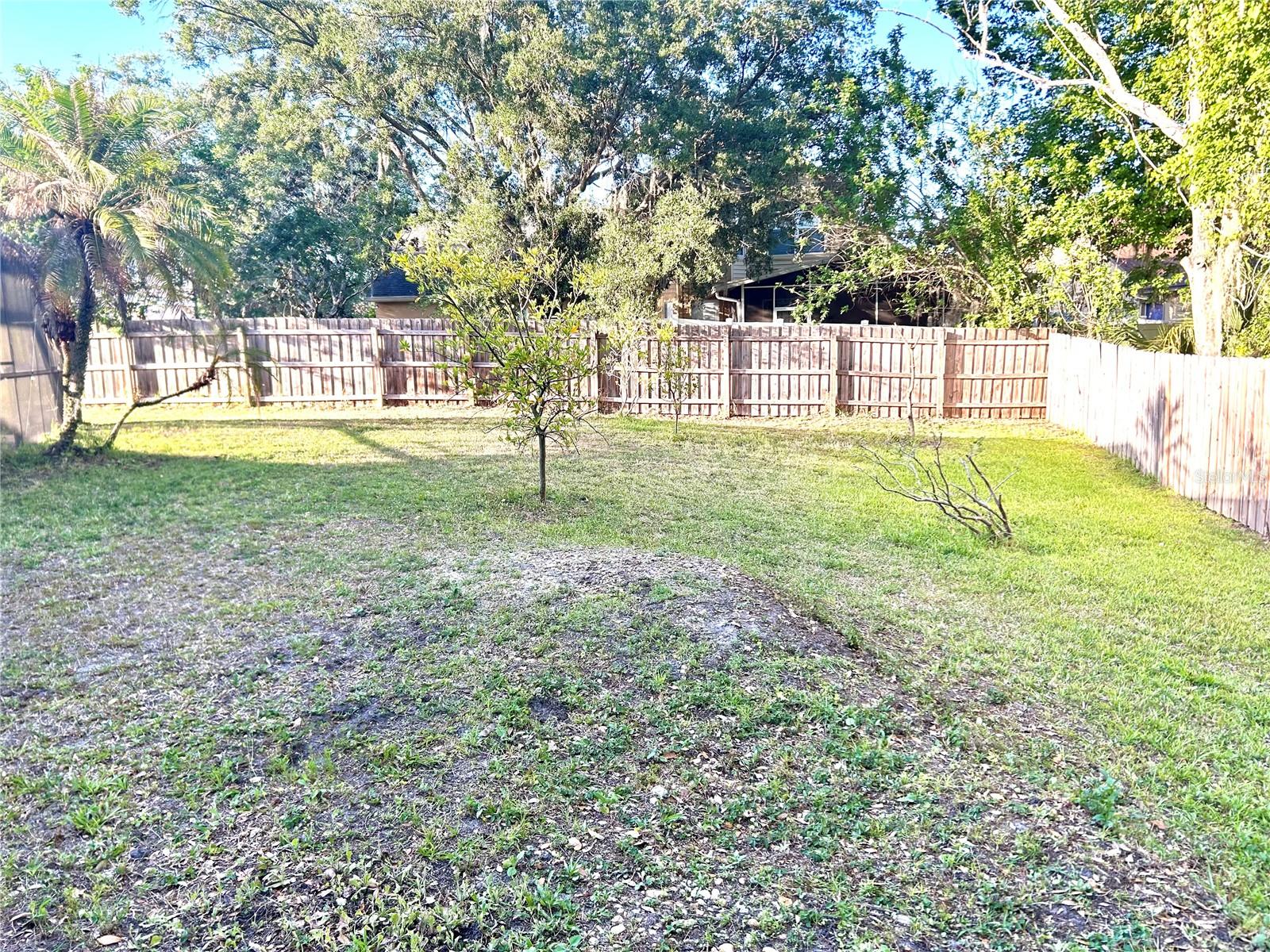 1729 BUCKHORN PL, ORLANDO, FL, 32825