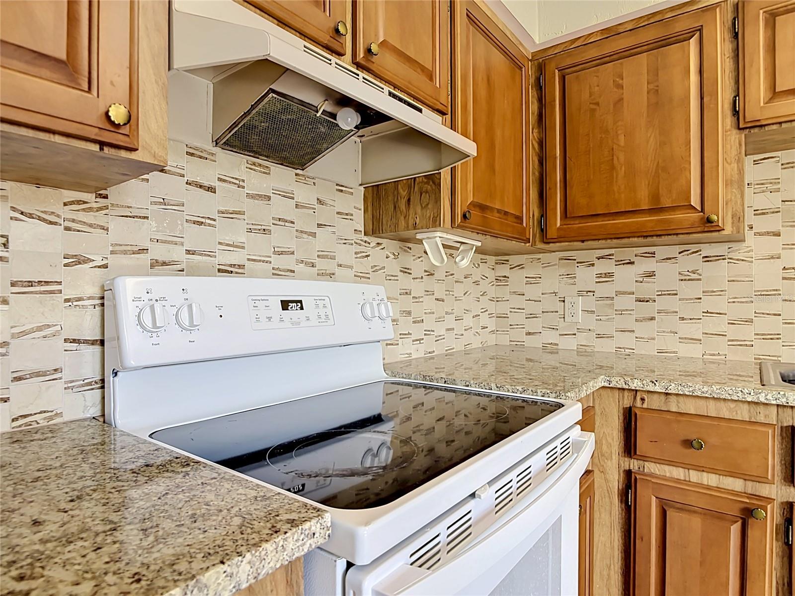 910 BIG TREE RD #12-4, SOUTH DAYTONA, FL, 32119