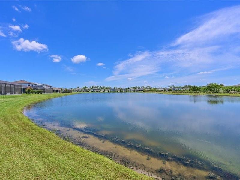 8251 ABALONE LOOP, PARRISH, FL, 34219