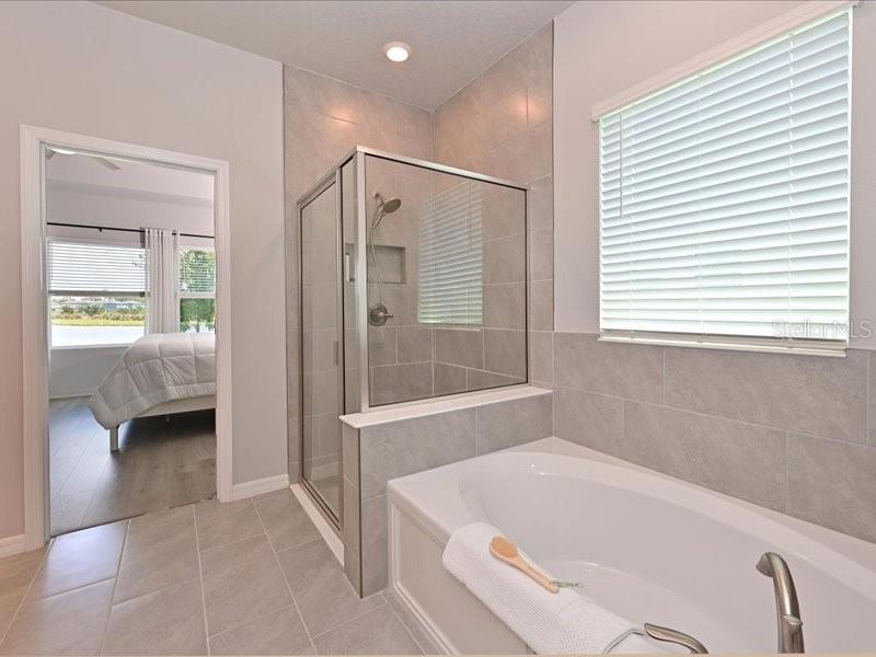 8251 ABALONE LOOP, PARRISH, FL, 34219