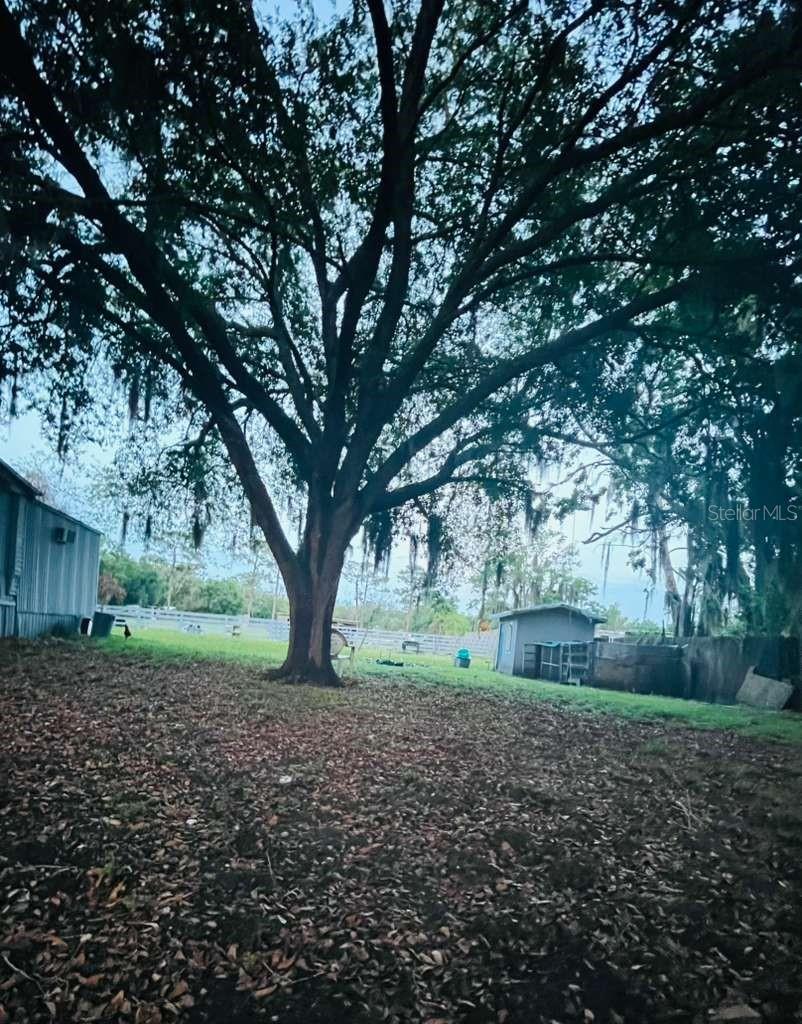 3225 PACKARD AVE, ST CLOUD, FL, 34772