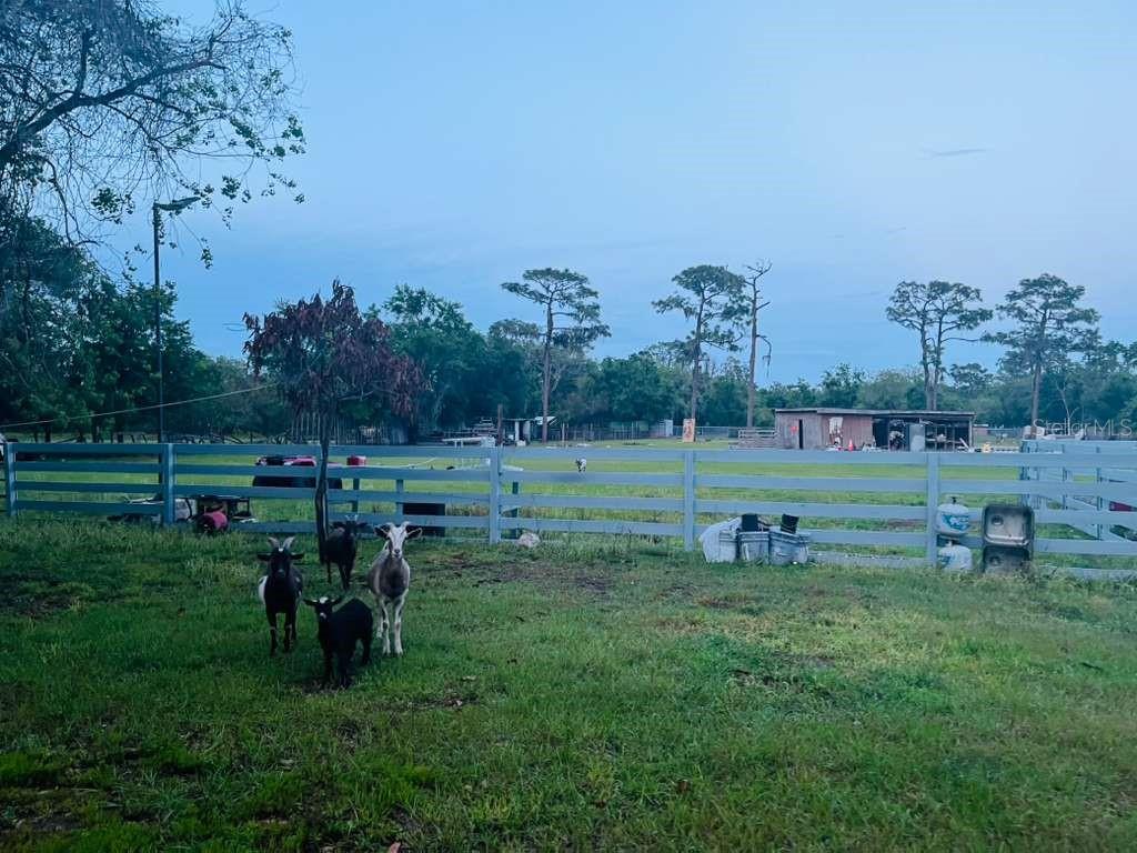 3225 PACKARD AVE, ST CLOUD, FL, 34772