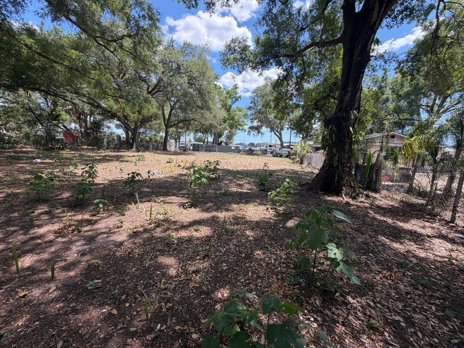MILLS SUB REV MAP, TAMPA, FL, 33605