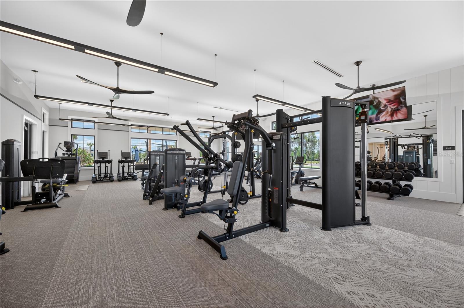 4242 GOLDFOIL RD, SPRING HILL, FL, 34609