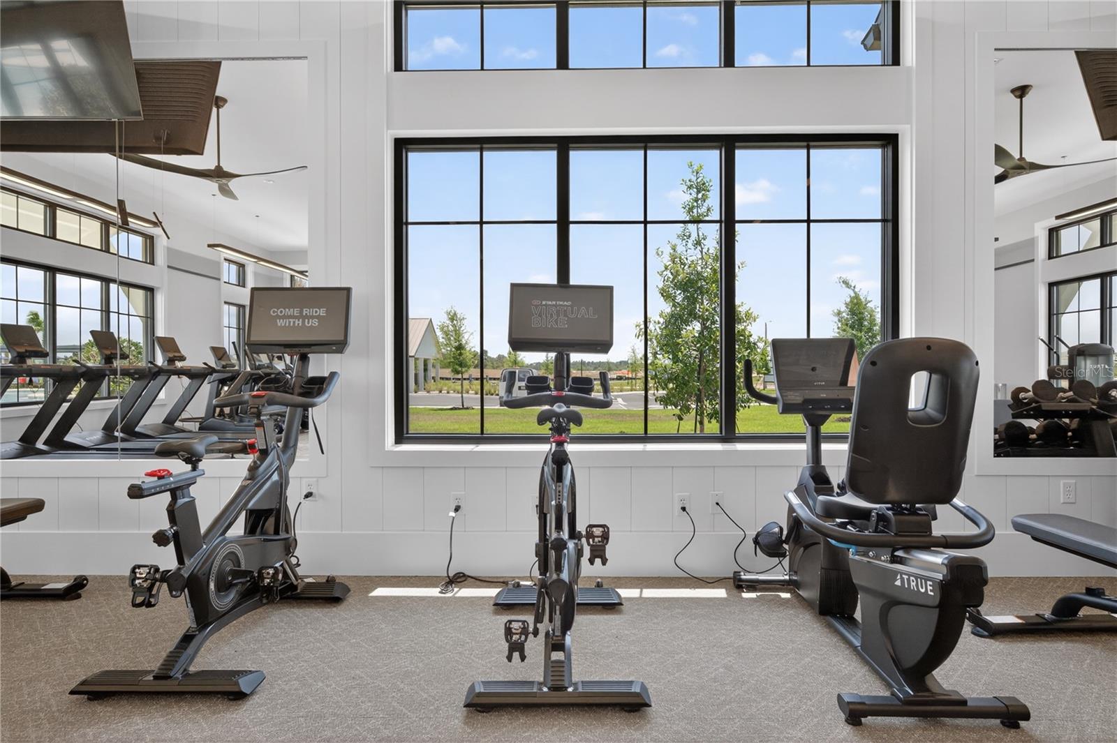 4242 GOLDFOIL RD, SPRING HILL, FL, 34609