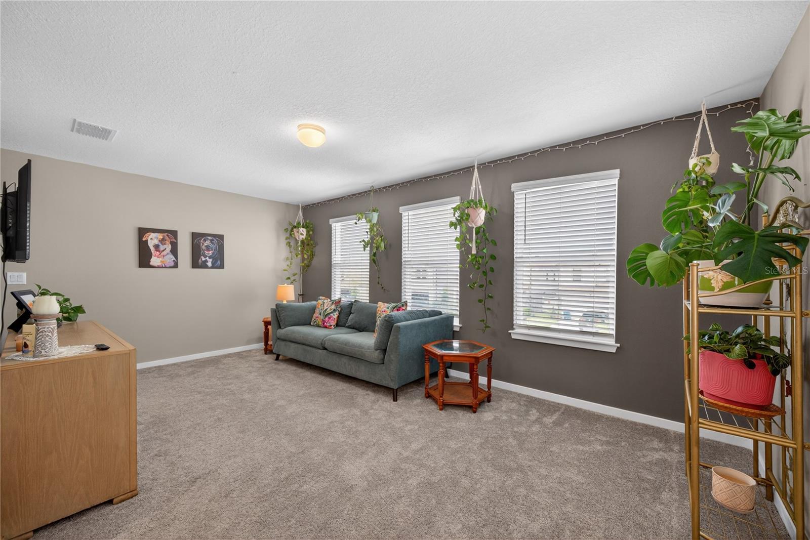 4242 GOLDFOIL RD, SPRING HILL, FL, 34609