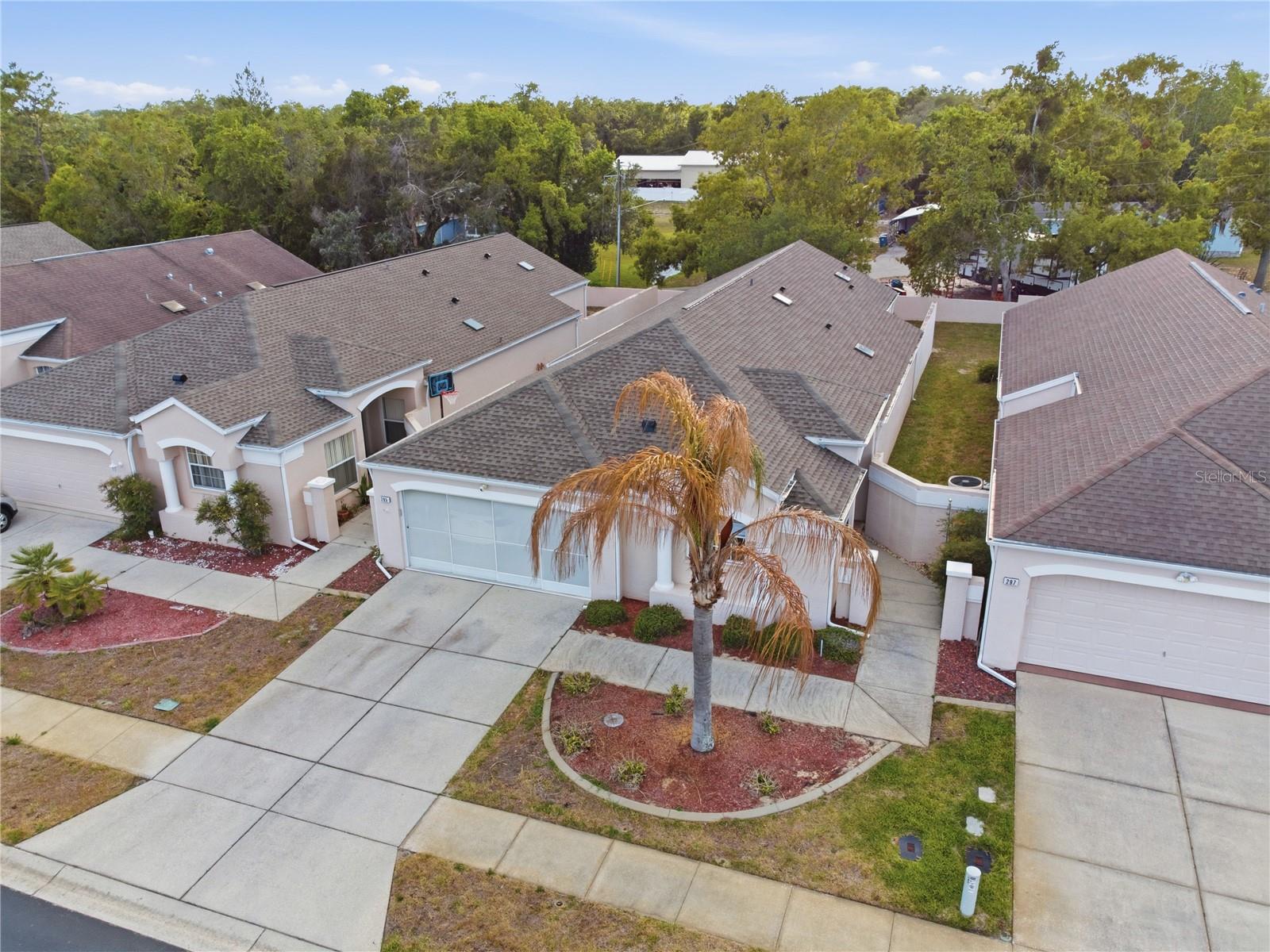 295 ROYAL PALM WAY, SPRING HILL, FL, 34608