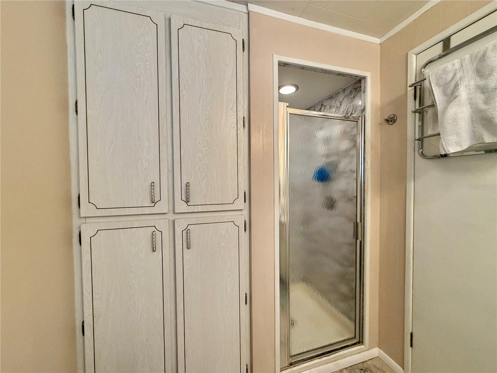 223 HAWTHORNE BLVD, LEESBURG, FL, 34748