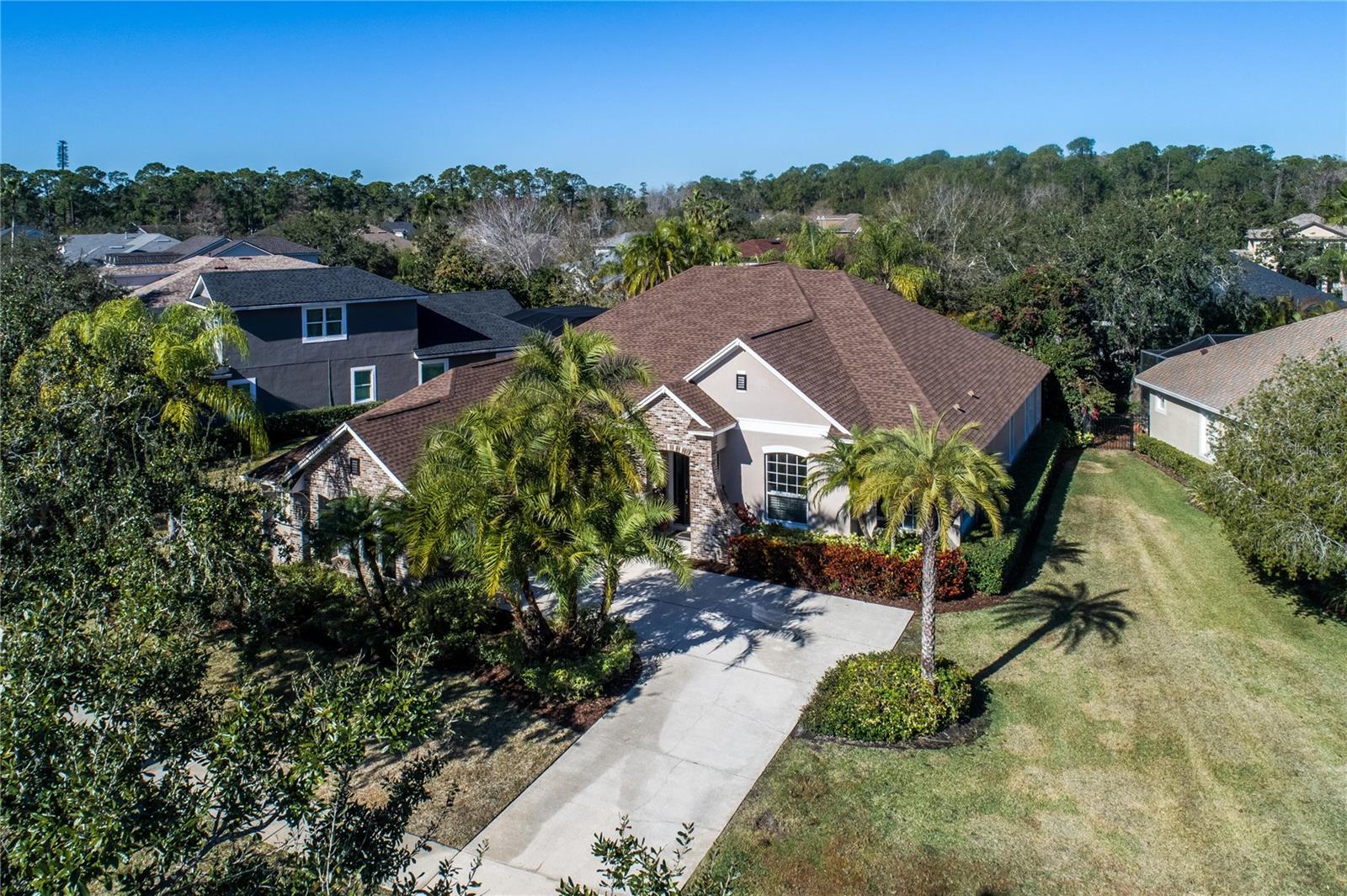 11909 MANDEVILLA CT, TAMPA, FL, 33626