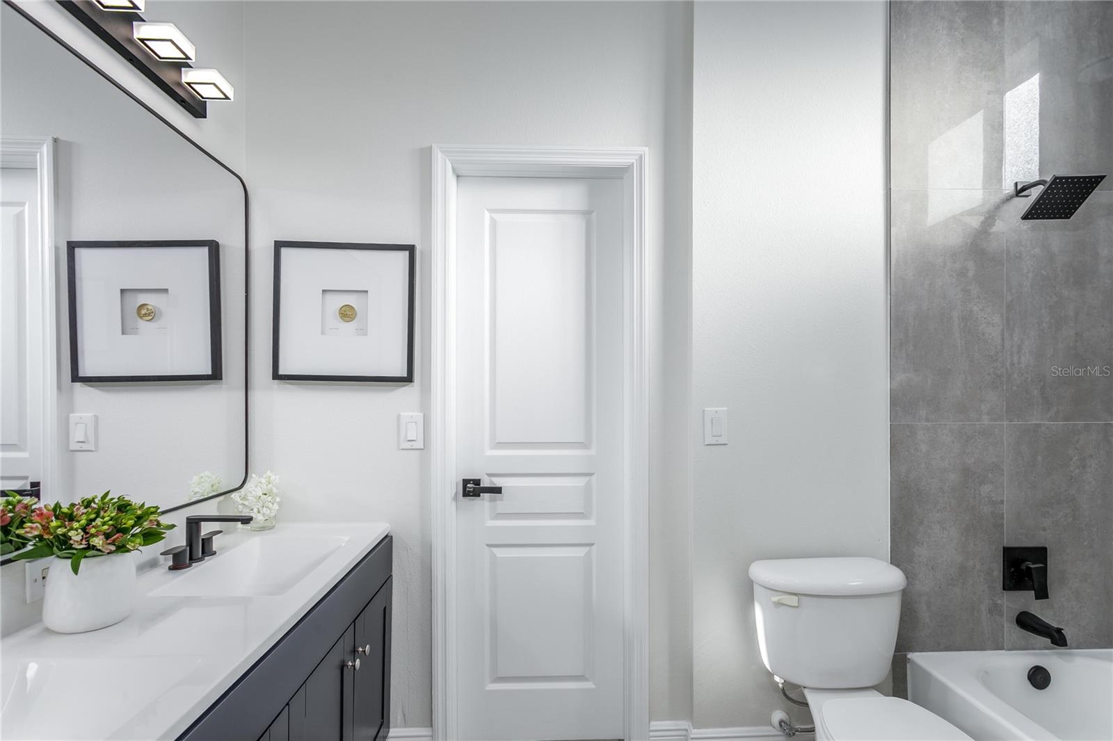 11909 MANDEVILLA CT, TAMPA, FL, 33626