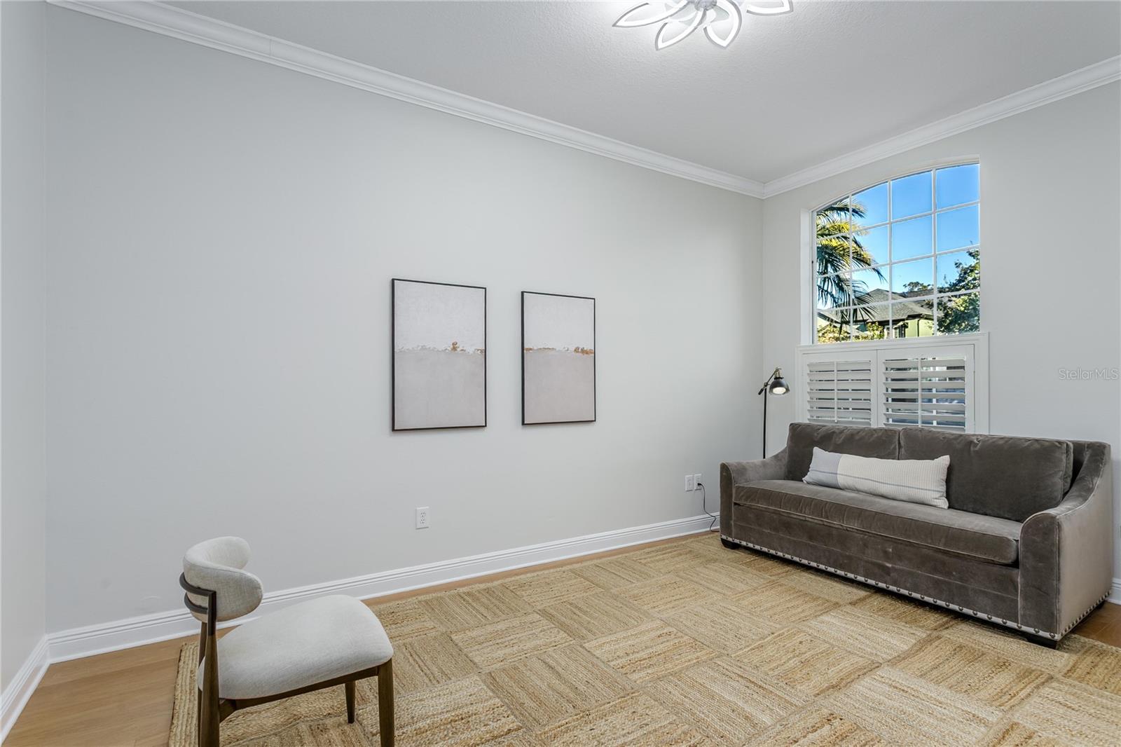 11909 MANDEVILLA CT, TAMPA, FL, 33626