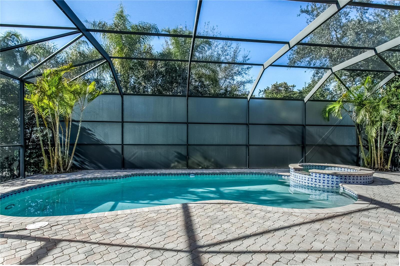 11909 MANDEVILLA CT, TAMPA, FL, 33626