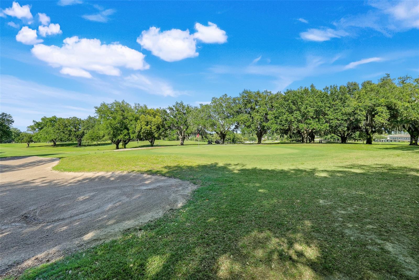 1141 GREENLEY AVE, GROVELAND, FL, 34736