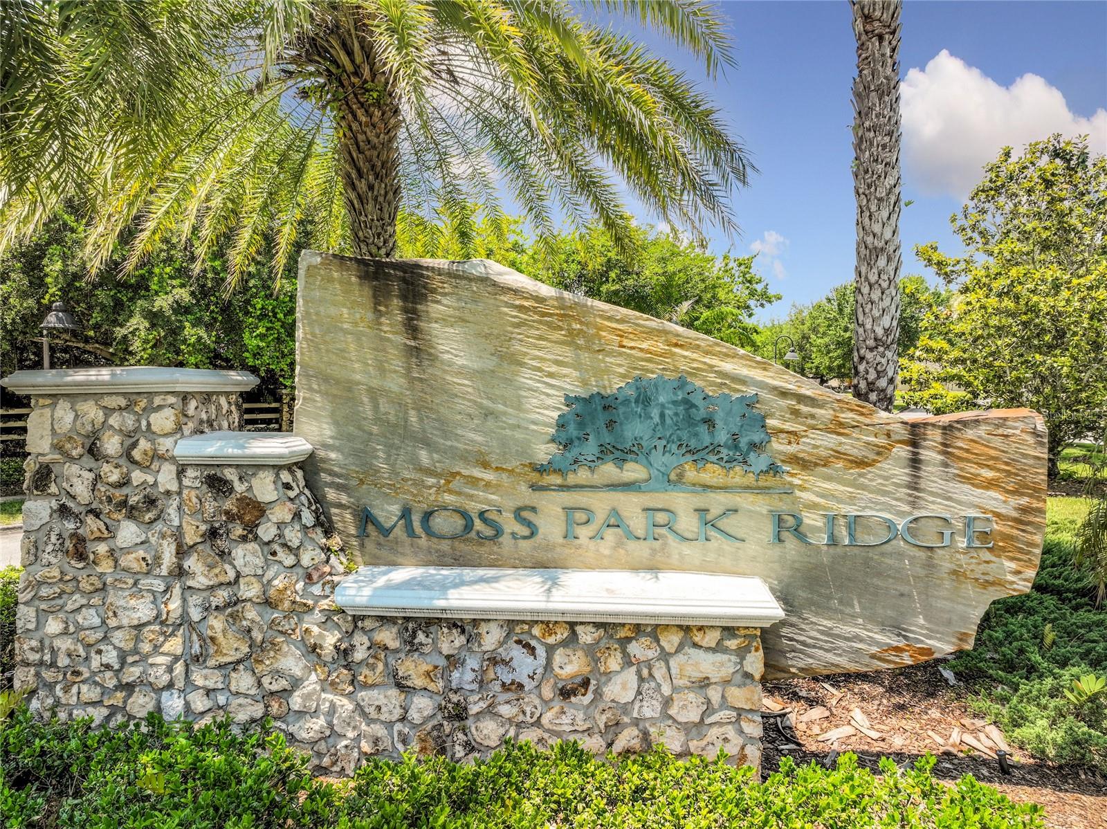 12703 MOSS PARK RIDGE DR, ORLANDO, FL, 32832
