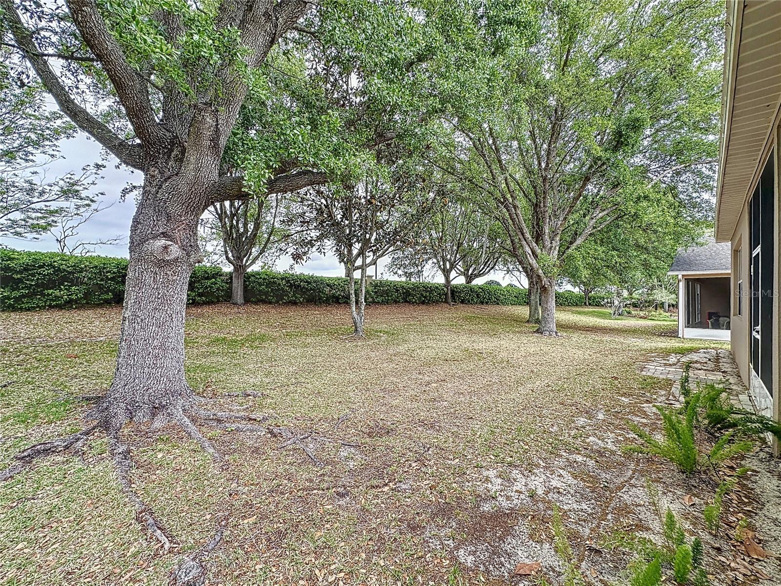 135 CREPE MYRTLE DR, GROVELAND, FL, 34736