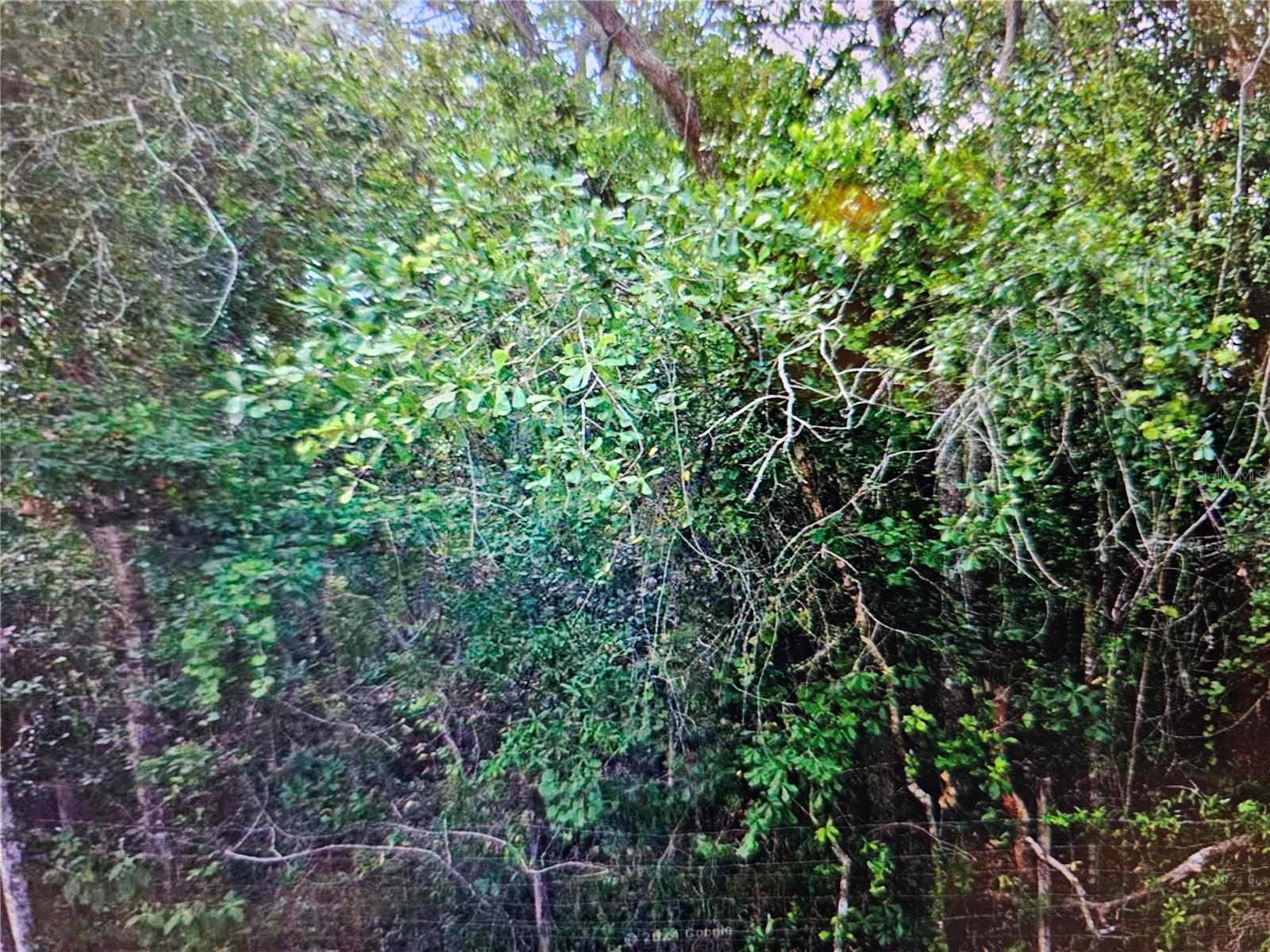 0 LISBON ST, NEW PORT RICHEY, FL, 34654