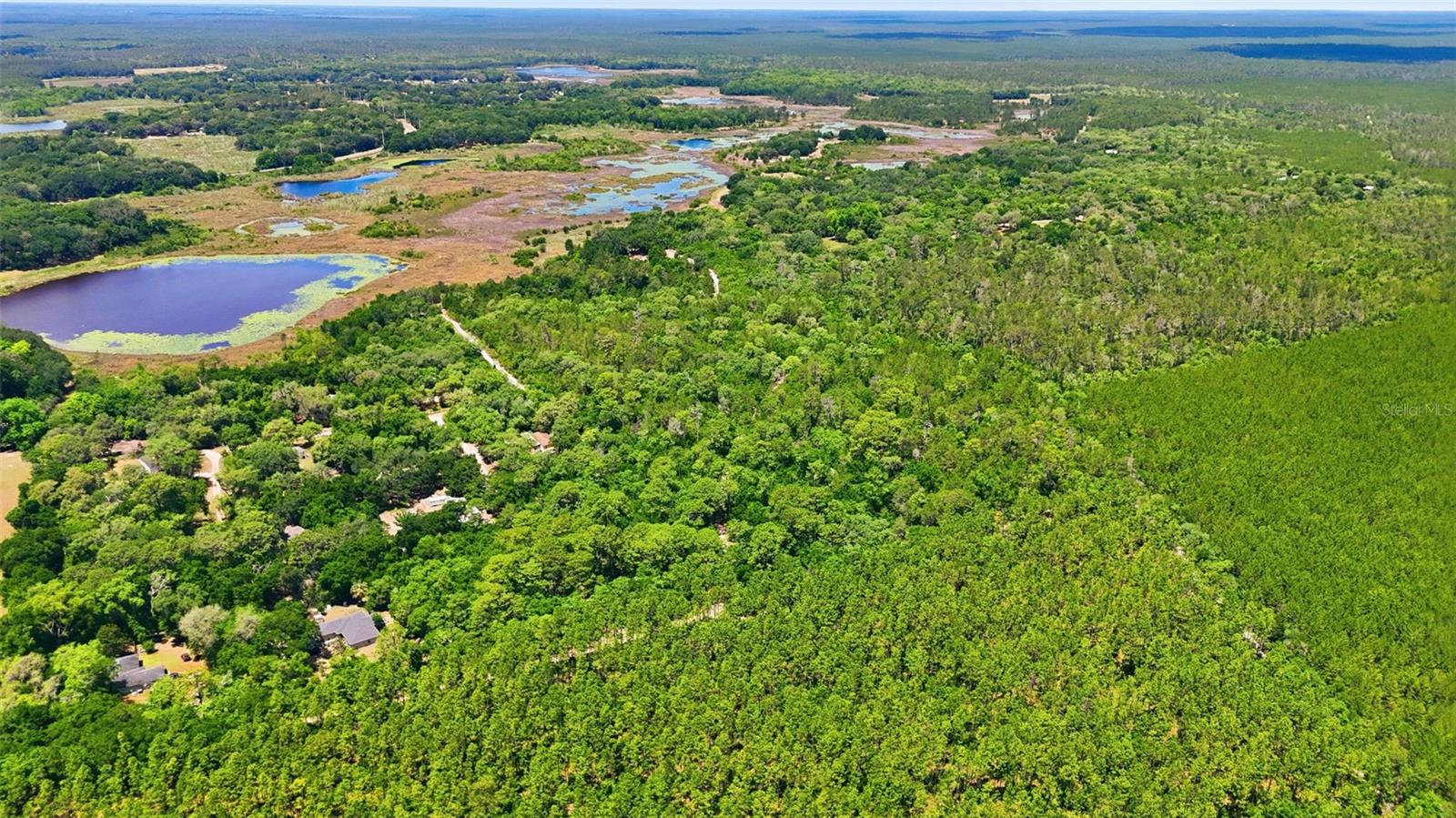 16050 SE 275TH AVE, UMATILLA, FL, 32784