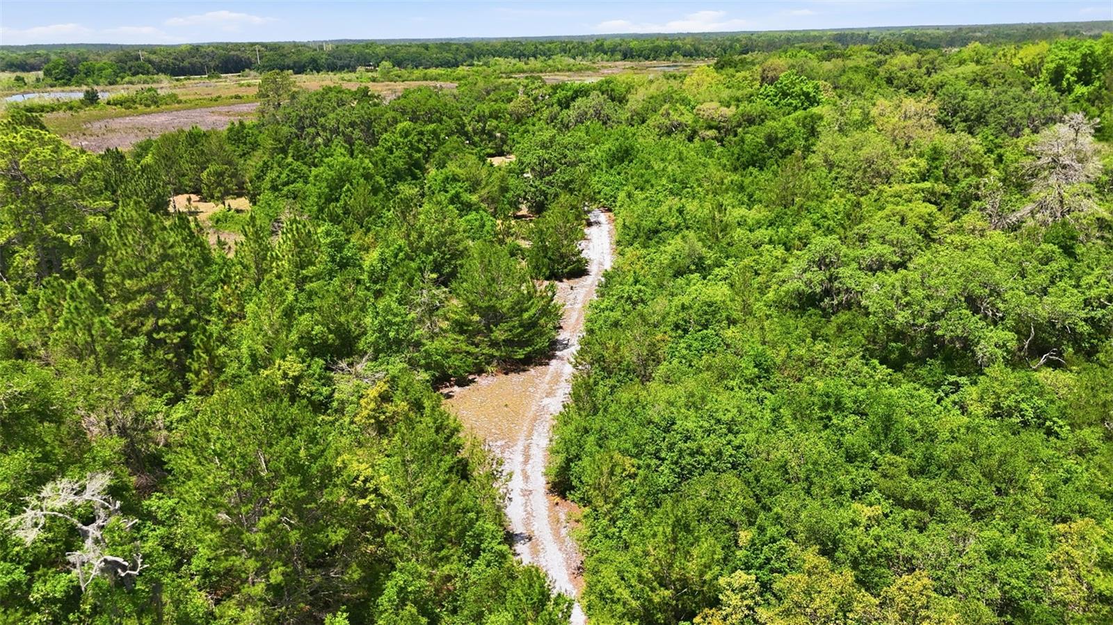 16050 SE 275TH AVE, UMATILLA, FL, 32784