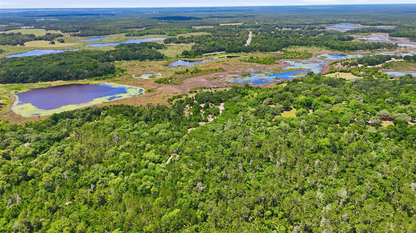 16050 SE 275TH AVE, UMATILLA, FL, 32784
