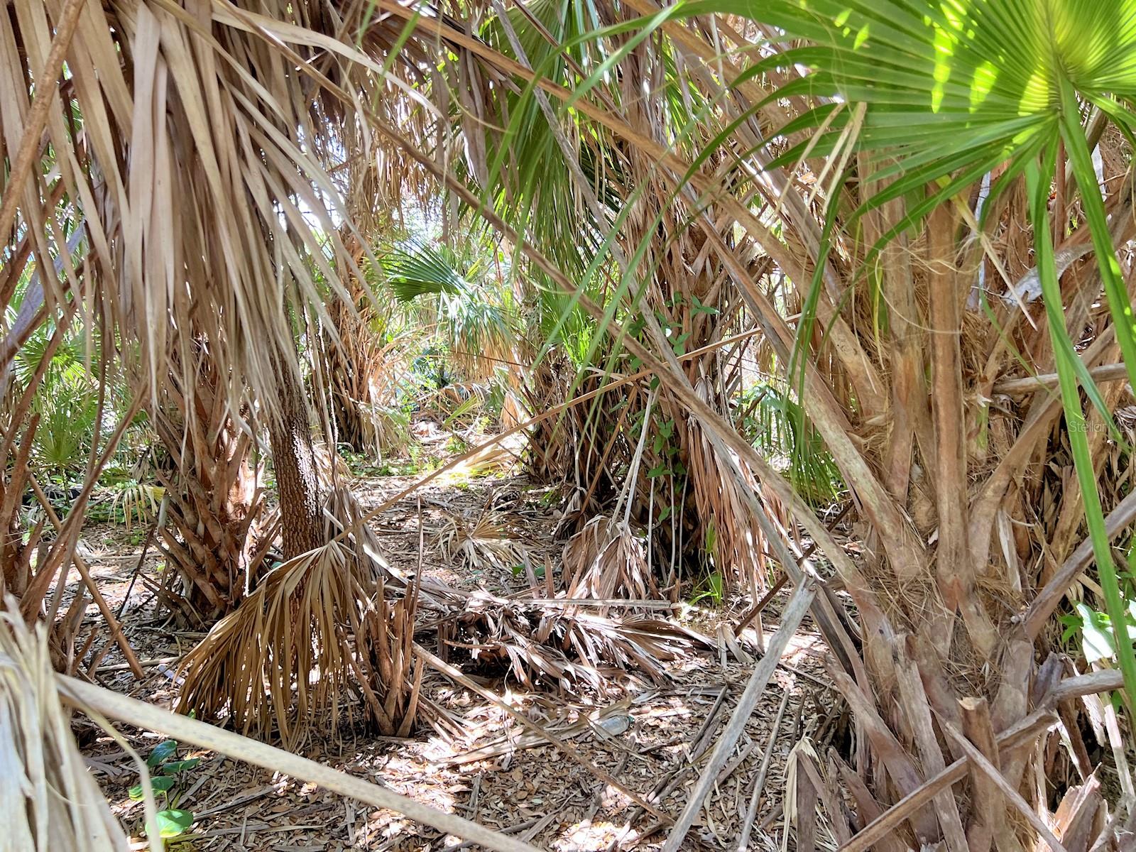 MAC CAUGHEY DR, NORTH PORT, FL, 34287