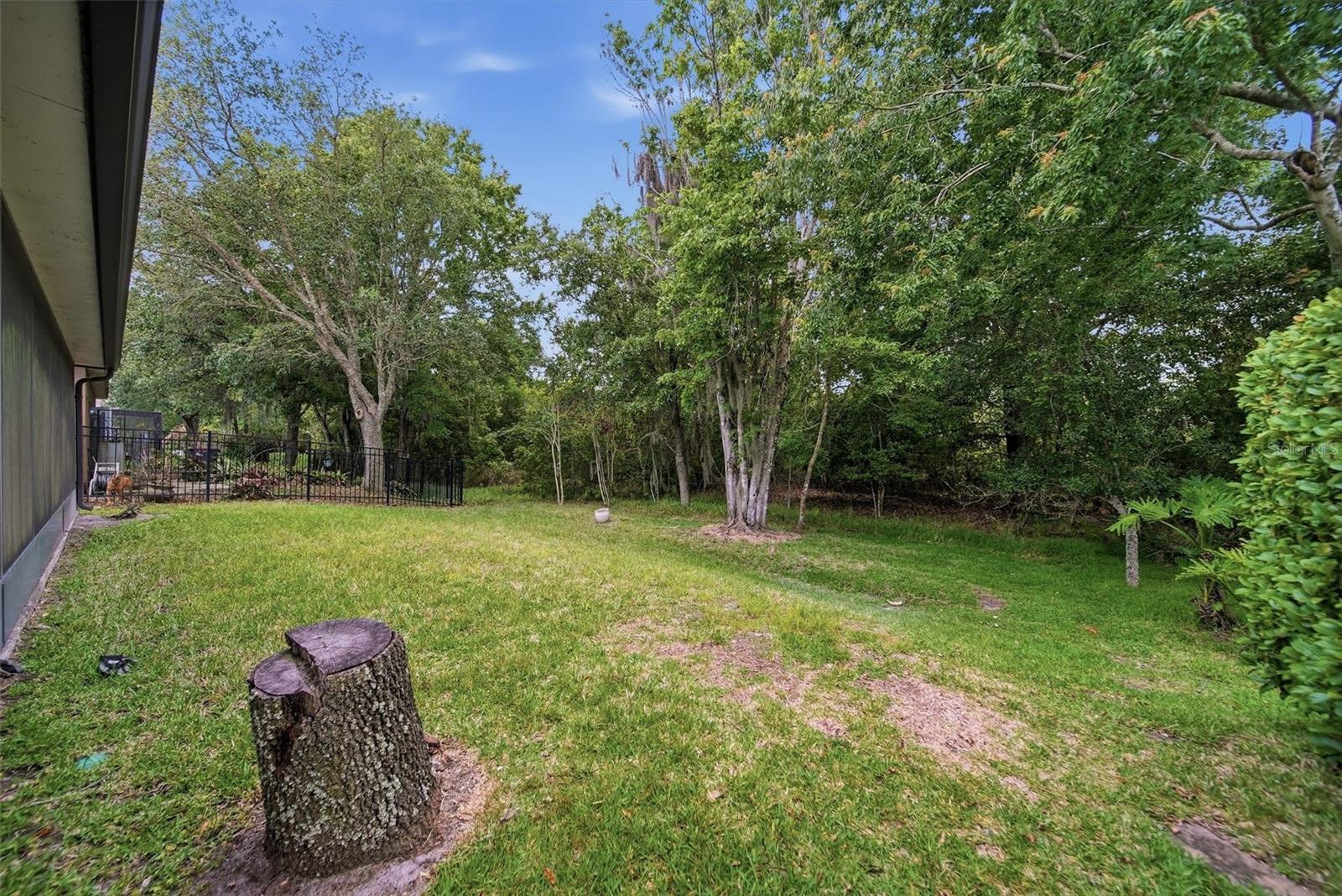 13425 EARLY FROST CIR, ORLANDO, FL, 32828