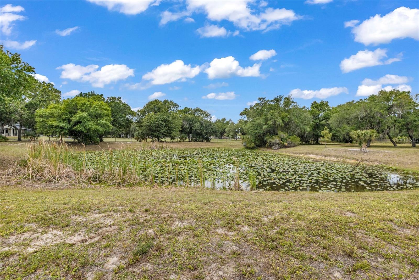 24549 TANGERINE AVE, PORT CHARLOTTE, FL, 33980