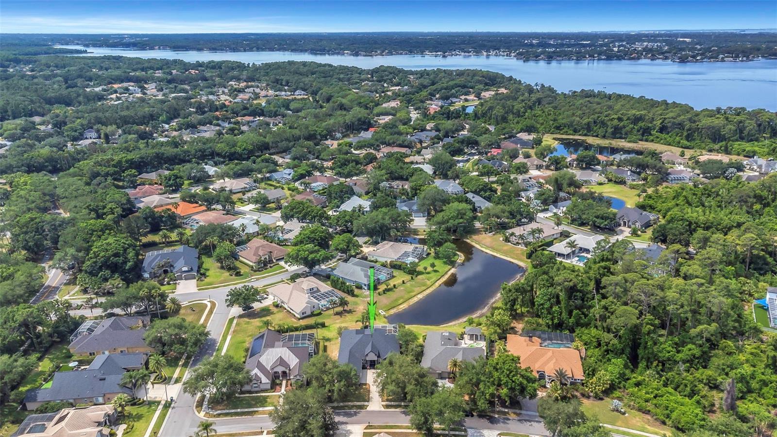 3716 JANUS WAY, PALM HARBOR, FL, 34685