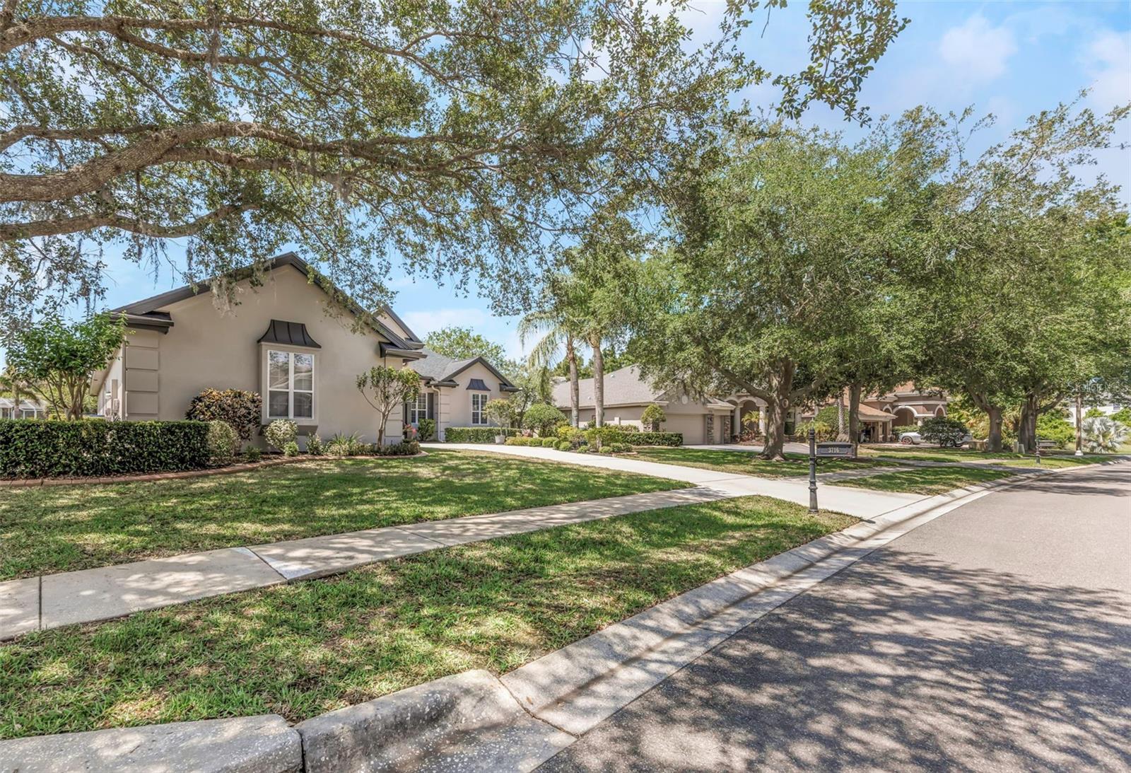 3716 JANUS WAY, PALM HARBOR, FL, 34685