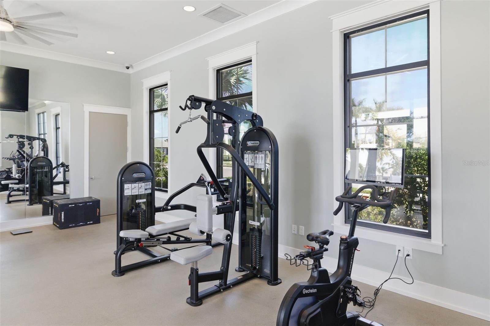 17237 SAVORY MIST CIR, BRADENTON, FL, 34211