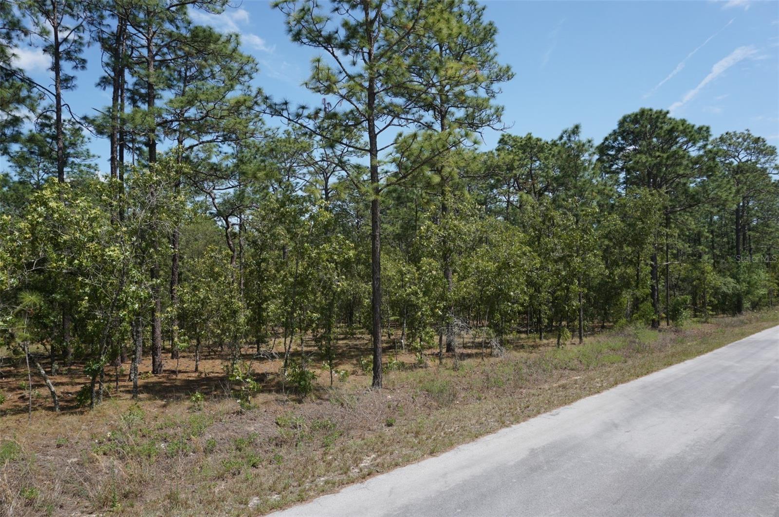TBD NW TREE TOP RD, DUNNELLON, FL, 34431