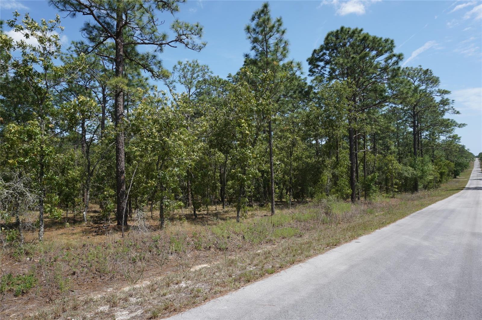 TBD NW TREE TOP RD, DUNNELLON, FL, 34431